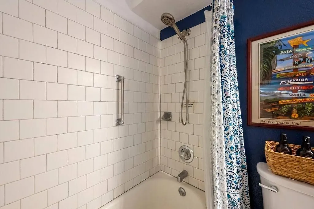 Apartment Kihei Alii Kai D207- Ocean View, Walk To Shops, Dining, And Kam I Beach