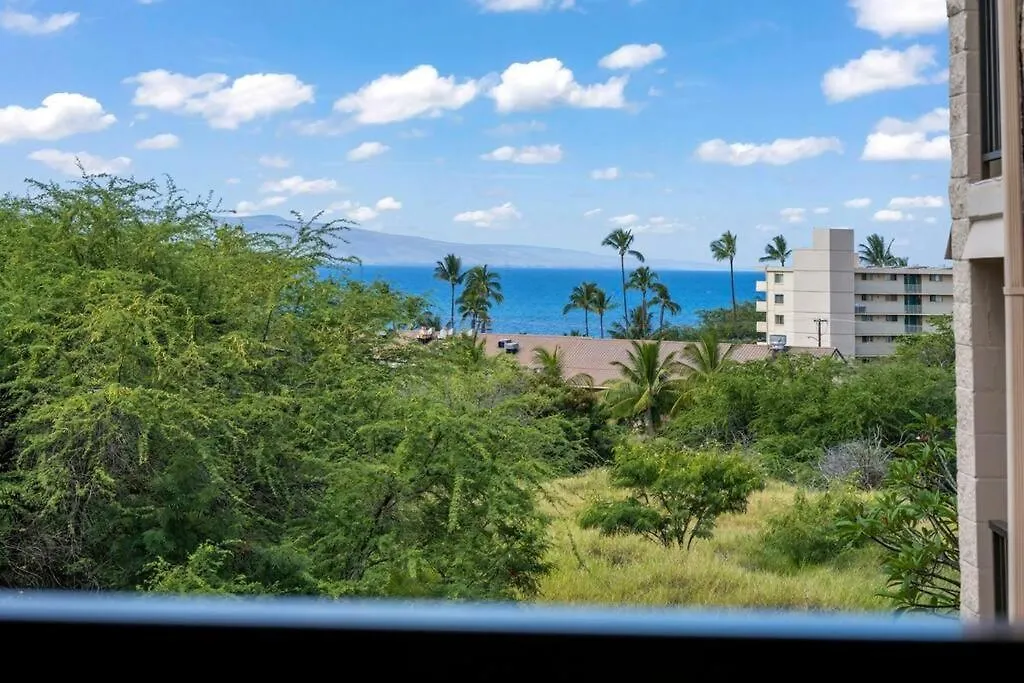 Kihei Alii Kai D207- Ocean View, Walk To Shops, Dining, And Kam I Beach