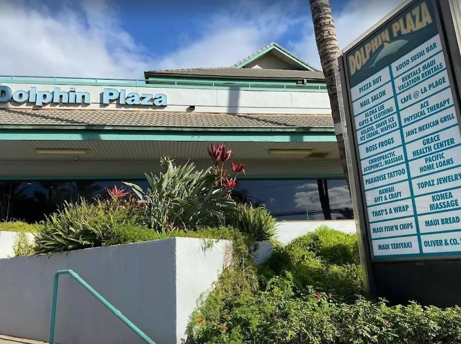 Kihei Alii Kai D207- Ocean View, Walk To Shops, Dining, And Kam I Beach